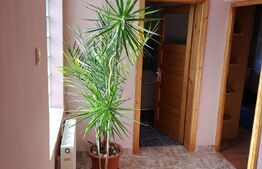 Casa 6 camere, 270mp, zona Rogerius