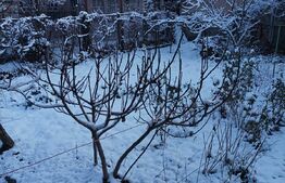 Casa 2 camere, 119mp, Exterior Vest