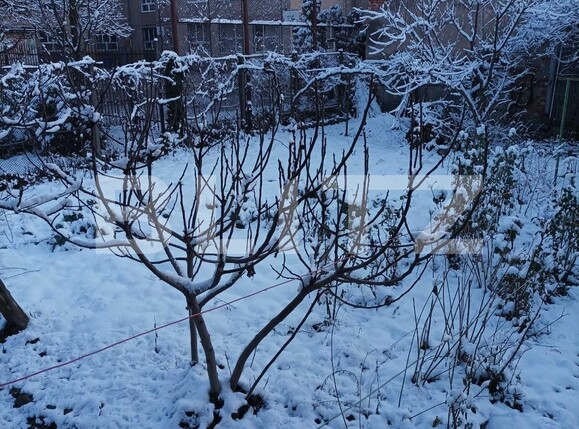 Casa de vânzare 2 camere Exterior Vest - 110333CV | BLITZ Oradea | Poza4