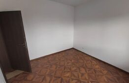  Casa 4 camere, 500 mp,  Sintandrei