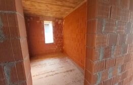 Casa de 110 mp utili, 600 mp teren, in Paleu!