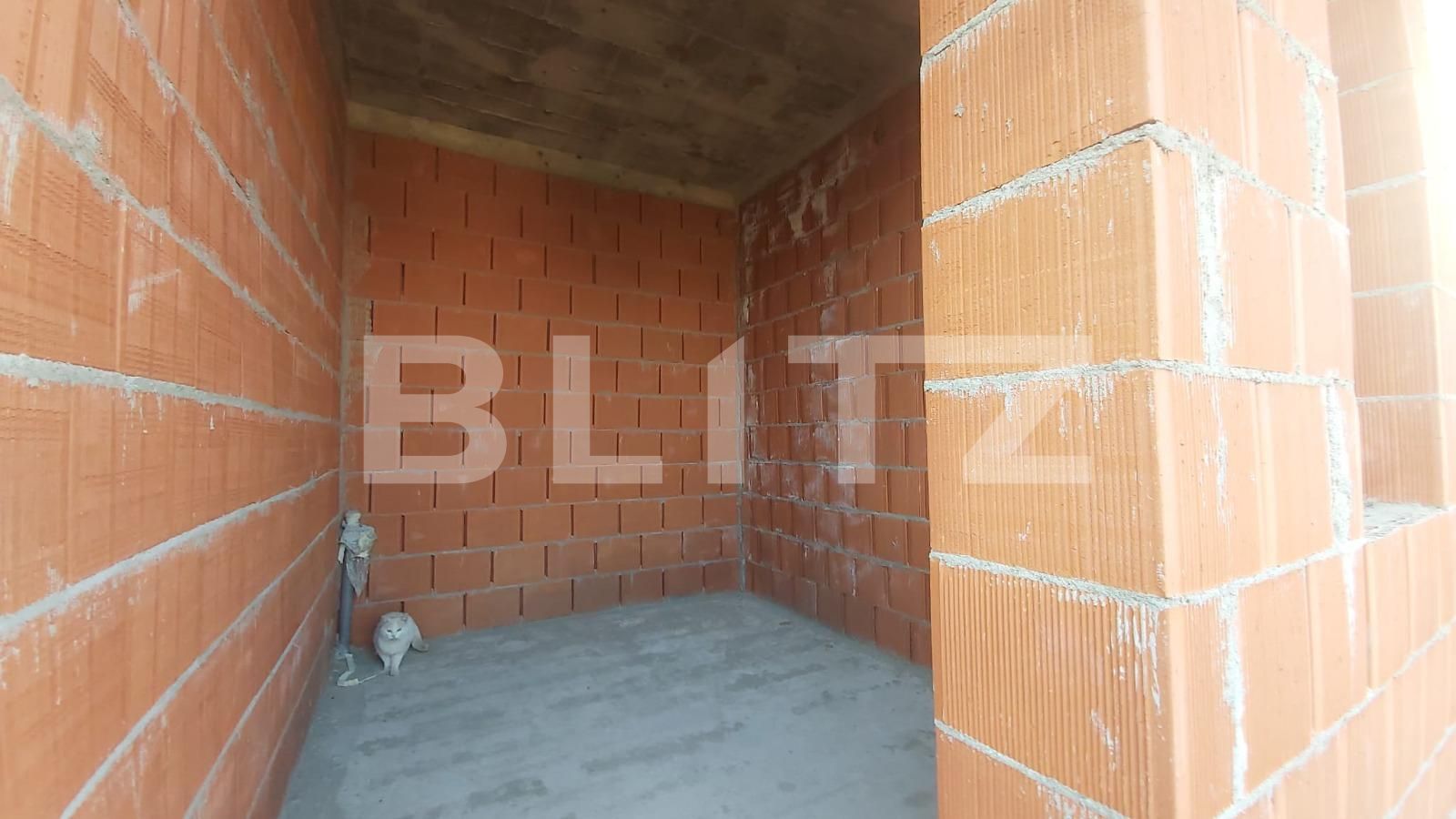 Casa de vânzare 3 camere Paleu - 112037CV | BLITZ Oradea | Poza12