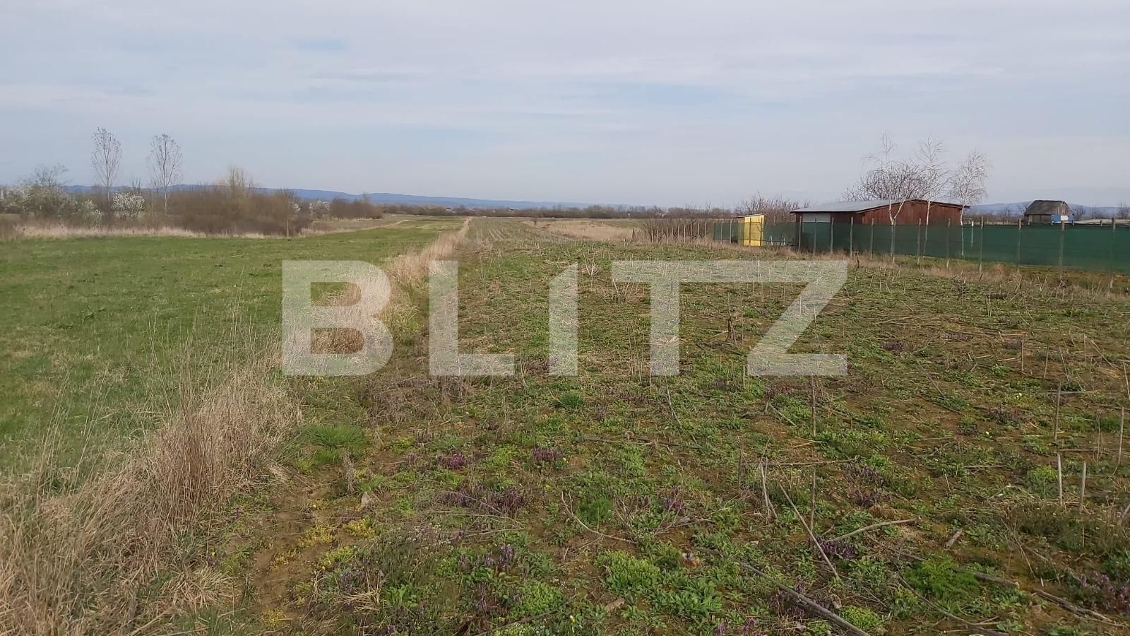 Teren de vânzare Sacadat - 112217TV | BLITZ Oradea | Poza4