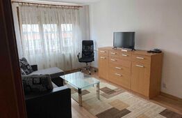 apartament 2 camere, mobilat utilat, Centru Civic