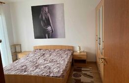 apartament 2 camere, mobilat utilat, Centru Civic