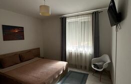 Apartament de 3 camere, decomandat, Prima Nufarul