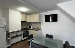 Casa de inchiriat, 50 mp, in apropierea Teatrului Regina Maria