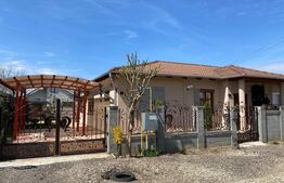 Casa pe un nivel, 245mp teren, Santandrei