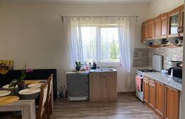 Casa pe un nivel, 3 dormitoare, 120mp utili, teren 1100mp, la 15km de Oradea