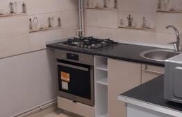 Apartament 1 camera, renovat,mobilat, Aluminei