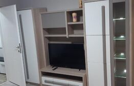 Apartament 1 camera, renovat,mobilat, Aluminei