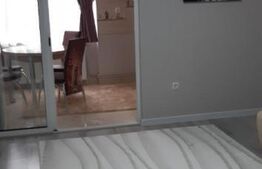 Apartament 1 camera, renovat,mobilat, Aluminei