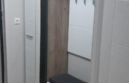 Apartament 1 camera, renovat,mobilat, Aluminei