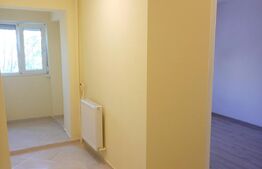 Apartament 1 camera, 24mp, Rogerius