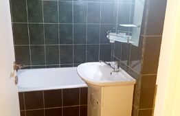 Apartament 1 camera, 24mp, Rogerius