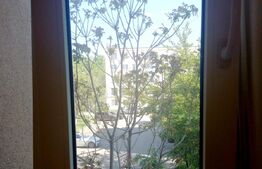 Apartament 1 camera, 24mp, Rogerius