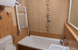 Apartament 3 camere, 48mp, renovat si mobilat, Velenta