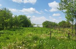 Casă în Betfia în renovare cu teren 1430 mp