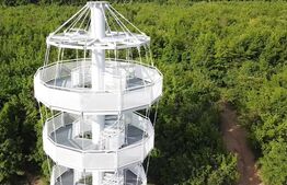 Casă în Betfia în renovare cu teren 1430 mp