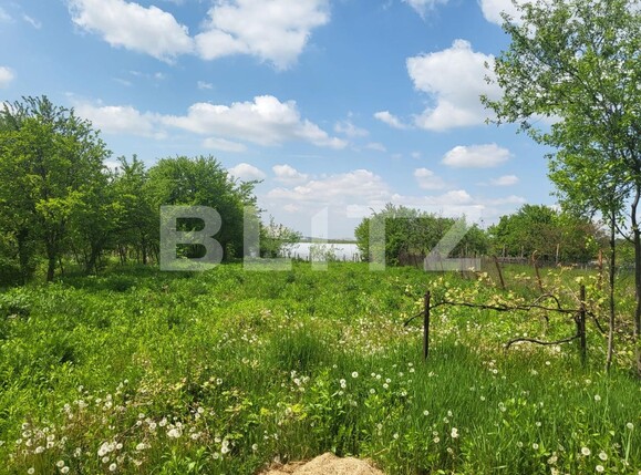 Casa de vânzare 4 camere Betfia - 115149CV | BLITZ Oradea | Poza12