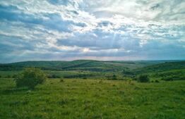 Teren Intravilan in Uileacu de Munte