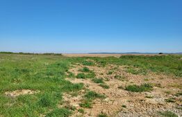 Pamant intravilan RONTAU 