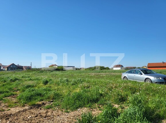 Teren de vânzare Rontau - 115250TV | BLITZ Oradea | Poza4