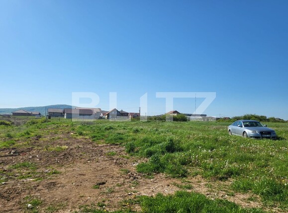 Teren de vânzare Rontau - 115250TV | BLITZ Oradea | Poza3
