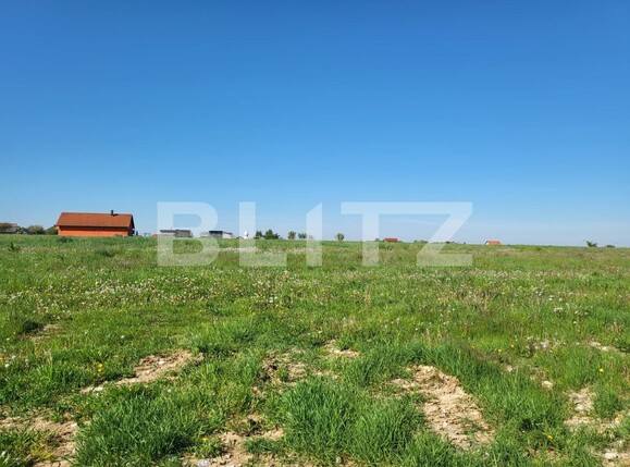 Teren de vânzare Rontau - 115250TV | BLITZ Oradea | Poza1