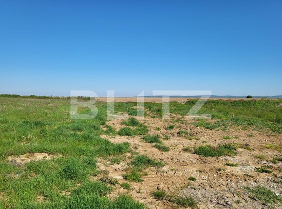 Teren de vânzare Rontau - 115250TV | BLITZ Oradea | Poza5