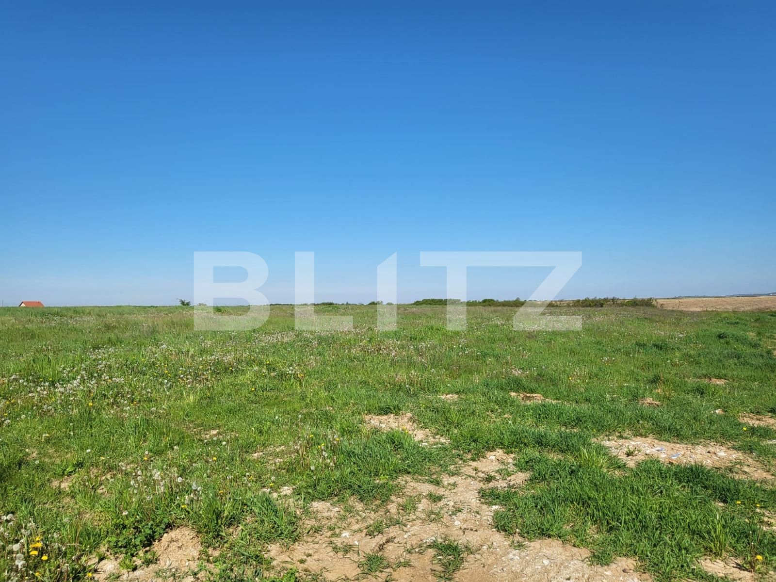 Teren de vânzare Rontau - 115250TV | BLITZ Oradea | Poza2