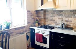 Apartament 2 camere,54mp, decomandat, mobilat, Decebal