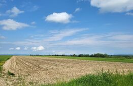 Teren intravilan, 7000mp,  Sanmartin Rontau