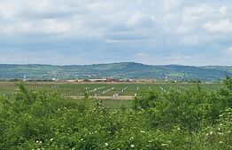 Teren intravilan, 3000mp, Sanmartin Rontau