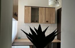 Apartament de 2 camere, 45mp, in cartierul Rogerius