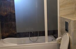 Apartament de 3 camere, decomandat, Nufarul