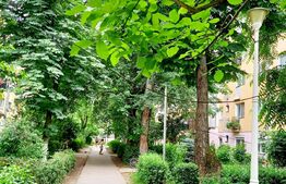 Apartament 2 camere tip Z,  37mp, Nufarul