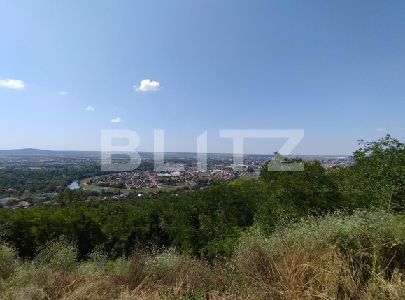 Teren de vânzare Dealuri Oradea - 119548TV | BLITZ Oradea | Poza3