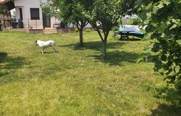 Casa 5 camere, 108mp, Terra