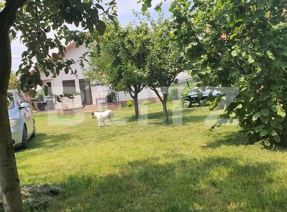 Casa de vânzare 5 camere Exterior Vest - 119551CV | BLITZ Oradea | Poza11