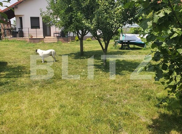 Casa de vânzare 5 camere Exterior Vest - 119551CV | BLITZ Oradea | Poza12