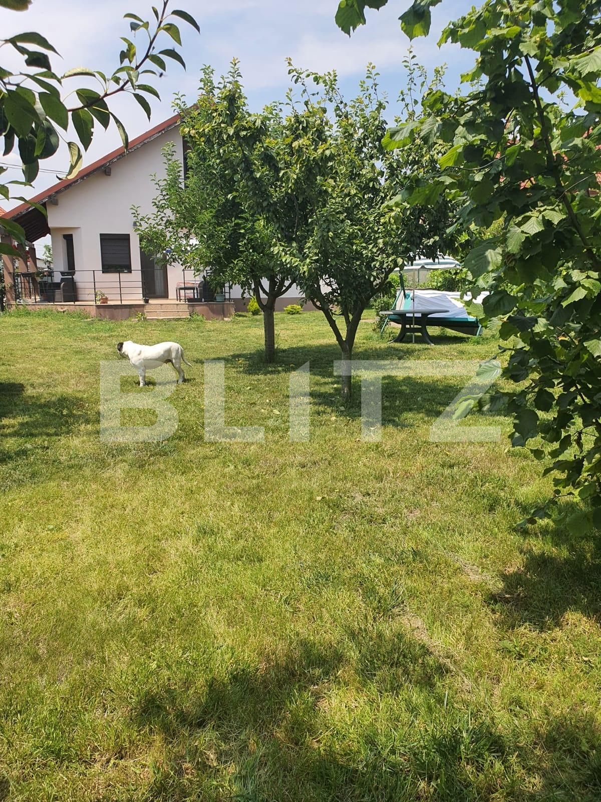 Casa de vânzare 5 camere Exterior Vest - 119551CV | BLITZ Oradea | Poza12