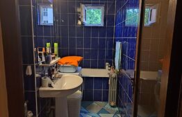 Apartament de 4 camere, 120 mp, mobilat/utilat, zona b-dul Dacia