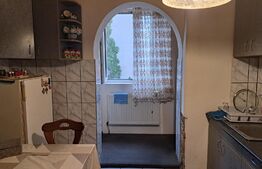 Apartament de 4 camere, 120 mp, mobilat/utilat, zona b-dul Dacia