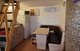 Garsoniera cu 2 niveluri, 16 mp, curte comuna, zona Centrala