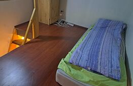 Garsoniera cu 2 niveluri, 16 mp, curte comuna, zona Centrala