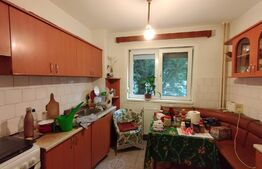 Apartament 2 camere, 50mp, Nufarul