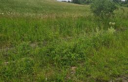 Investitie! Teren intravilan, 6000 mp, in satul turistic Bratca