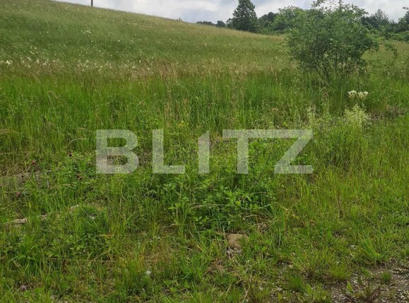 Teren de vânzare Exterior Est - 120227TV | BLITZ Oradea | Poza2