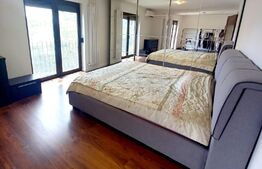 Casa mobilata si utilata, curte proprie, in cartierul Europa